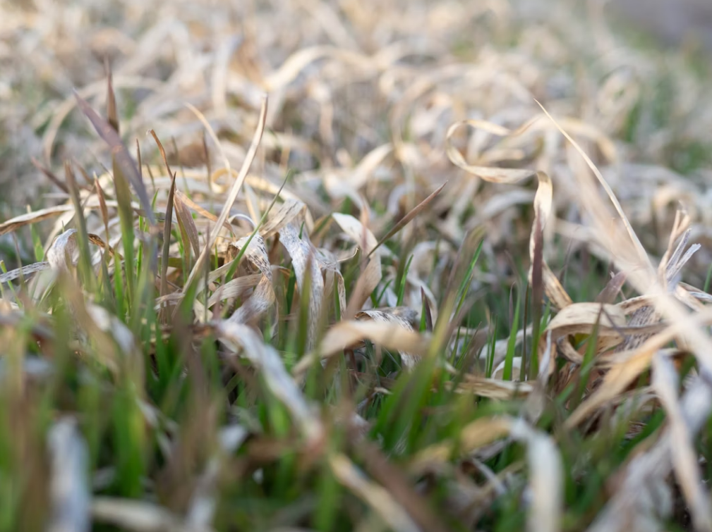 Screenshot 2025-11-11 132004.png