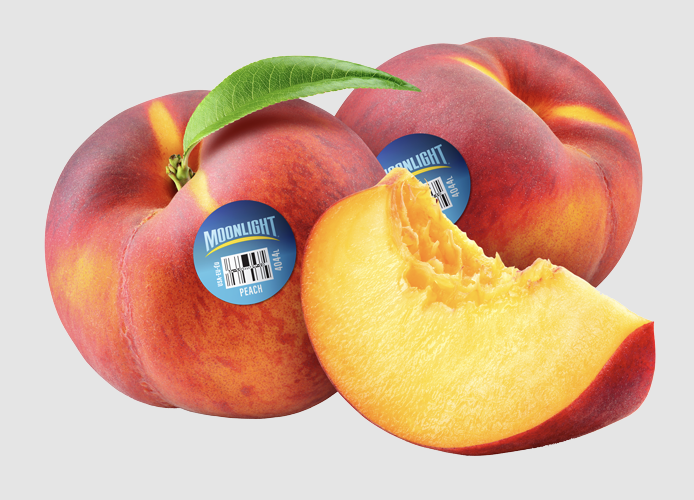 Screenshot 2025-11-03 at 8.27.05 AM.png