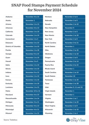 SNAP Food Stamps Payment Schedule for November 2024 (1).jpg