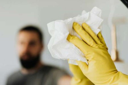 compressed-paper towel.jpeg