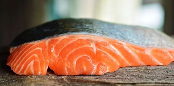 compressed-salmon-3139390_1280.jpeg