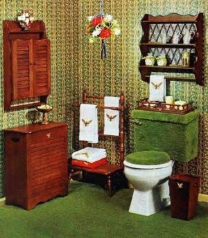 compressed-carpeted bathrooms.jpeg