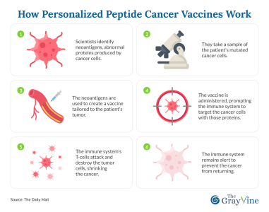 How Personalized Peptide Cancer Vaccines Work.png