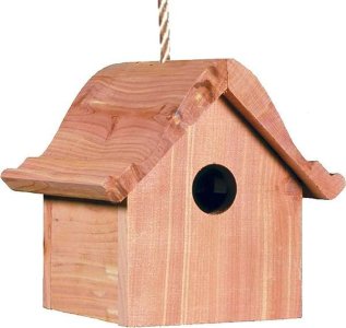 birdhouse.jpeg