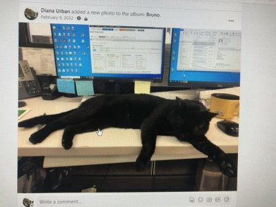 IMG_3367.jpeg