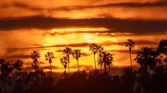 compressed-Los Angeles Sunset.jpeg