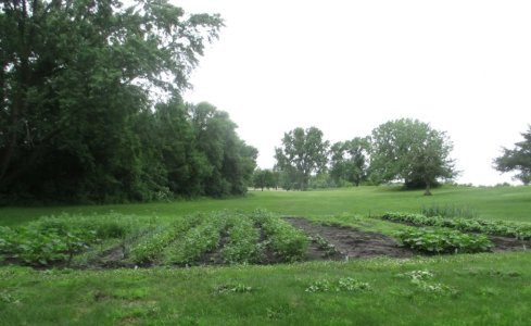 6-21-18 Big Garden 3.JPG
