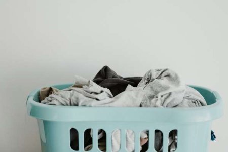 compressed-annie-spratt-5TfCI4nj6B4-unsplash.jpeg compressed-annie-spratt-5TfCI4nj6B4-unsplash.jpeg
