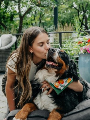 free-photo-of-brunette-woman-kissing-bernese-mountain-dog-outdoors.jpeg free-photo-of-brunette-woman-kissing-bernese-mountain-dog-outdoors.jpeg