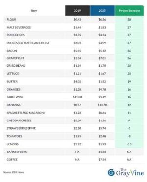 compressed-Items' price increase since 2019-1.jpeg