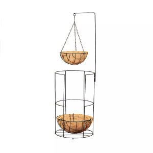 image (52).png