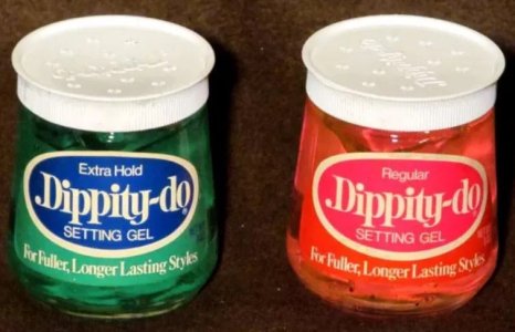 ever-do-the-dippity-v0-99ogj26y7m7e1.jpeg
