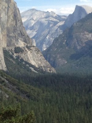 IMG_8196.jpeg