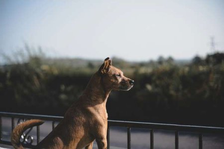 compressed-jason-murphy--PKzpx8x094-unsplash.jpeg
