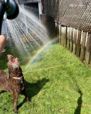 compressed-rainbow.jpeg