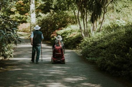 compressed-annie-spratt-A2bvXVD5qgo-unsplash.jpeg compressed-annie-spratt-A2bvXVD5qgo-unsplash.jpeg