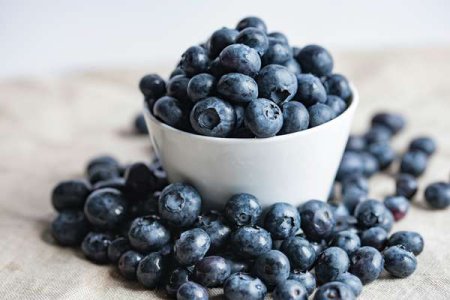 compressed-joanna-kosinska-4qujjbj3srs-unsplash.jpeg compressed-joanna-kosinska-4qujjbj3srs-unsplash.jpeg