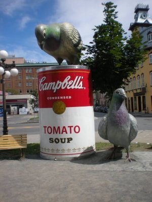 IMG_0695.jpeg