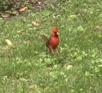IMG_5374.jpeg