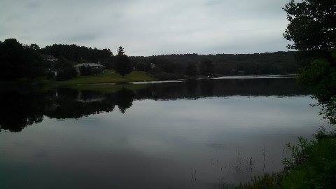 IMG_0702.jpeg