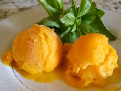 8377605-mango-sorbet-MichelleO-4x3-1-40fe0990518f4ae9aac1745de0f6b661.jpg