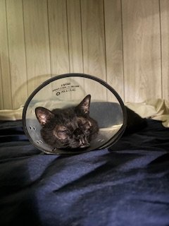 IMG_5475.jpeg