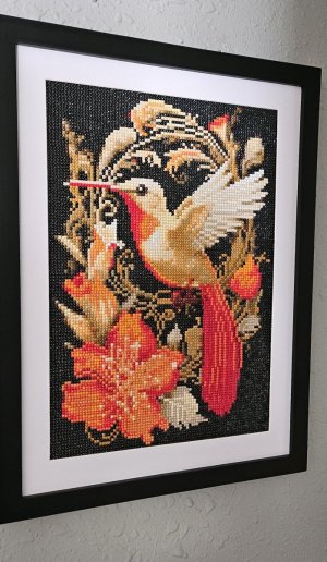 Hummingbird.jpg