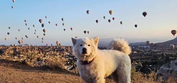 9-19 aotd.jpeg 9-19 aotd.jpeg