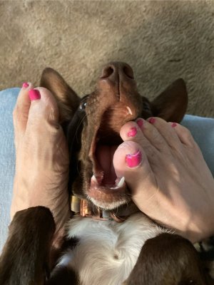 IMG_3589.jpeg