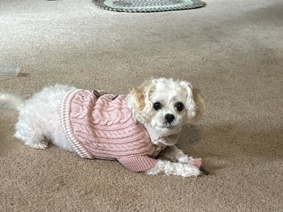 IMG_0873.jpeg