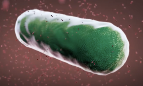 Screenshot 2025-10-13 at 8.15.44 PM.png