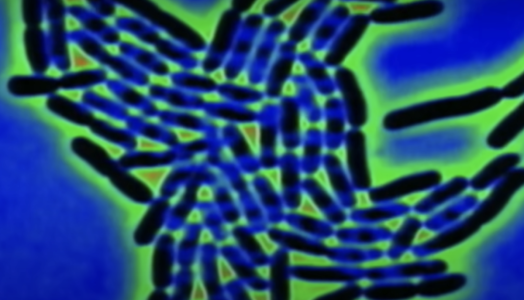 Screenshot 2025-10-13 at 9.18.37 PM.png