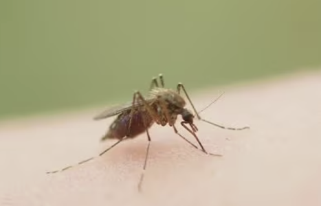 Screenshot 2025-10-15 at 8.59.44 PM.png