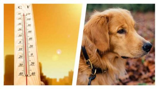 compressed-68577-4fLxj6flhWSi4jdwwWfqvU_UvkPPMJG3wGfIGb5Enh8.jpeg compressed-68577-4fLxj6flhWSi4jdwwWfqvU_UvkPPMJG3wGfIGb5Enh8.jpeg