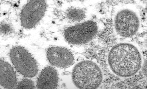 Screenshot 2025-10-16 at 7.24.34 PM.png