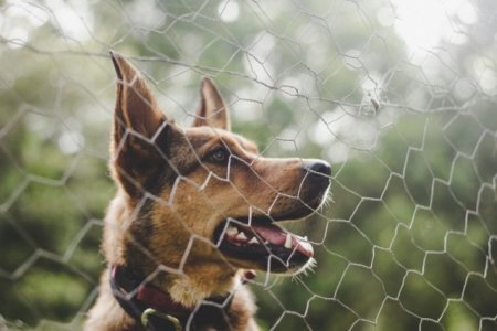 tim-cooper-Qh_BR0mlHE8-unsplash Medium.jpeg tim-cooper-Qh_BR0mlHE8-unsplash Medium.jpeg