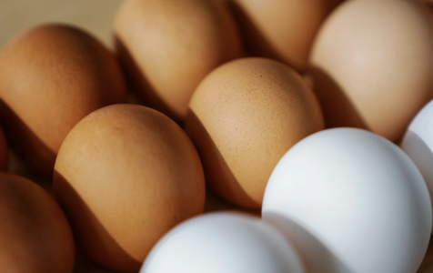 Screenshot 2025-10-19 at 7.22.23 PM.png