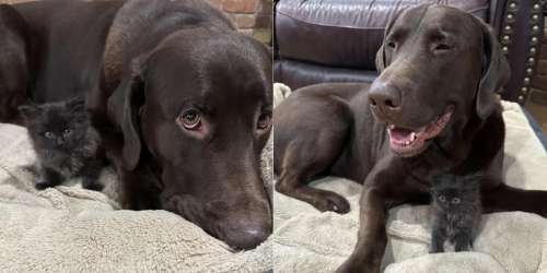 10-22 aotd.jpeg 10-22 aotd.jpeg