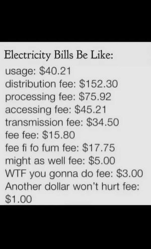 duke bill.jpeg