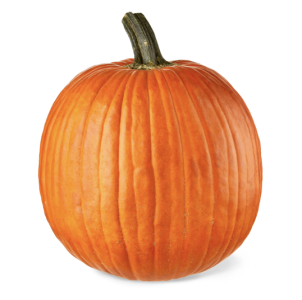 Screenshot 2025-10-29 at 11.24.13 AM.png Screenshot 2025-10-29 at 11.24.13 AM.png