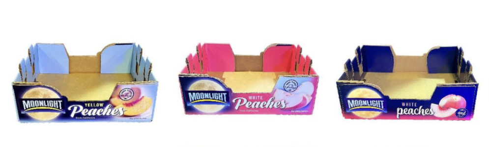 Screenshot 2025-11-03 at 8.23.45 AM.png