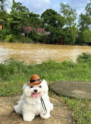 NodwQaDTJ9x4h10ETWc7aaRPJ-3vQ_eJVURZMRkJj18.jpeg NodwQaDTJ9x4h10ETWc7aaRPJ-3vQ_eJVURZMRkJj18.jpeg