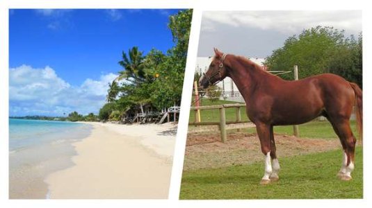 69170-10-30 witis.jpeg 69170-10-30 witis.jpeg