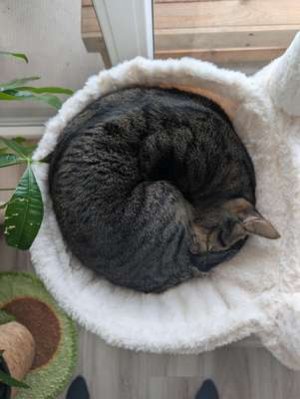 compressed-0khl89qfph0g1.jpeg compressed-0khl89qfph0g1.jpeg