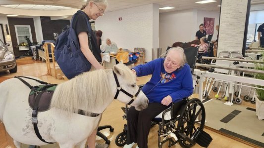 528333931_1350979917028789_2445611874324649948_n.jpg 528333931_1350979917028789_2445611874324649948_n.jpg