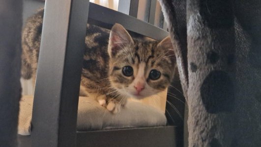 n0jiva3e2p1g1.jpeg n0jiva3e2p1g1.jpeg