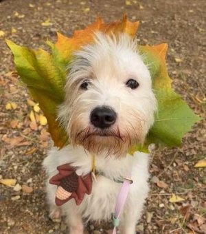 compressed-i-hope-you-had-a-little-less-of-a-hard-day-today-seeing-the-v0-1ie3xd753u1g1.jpeg compressed-i-hope-you-had-a-little-less-of-a-hard-day-today-seeing-the-v0-1ie3xd753u1g1.jpeg