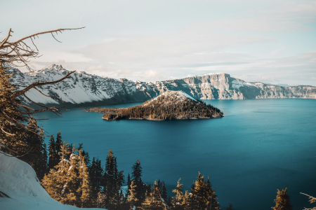 Screenshot 2025-11-18 at 2.48.07 PM.png