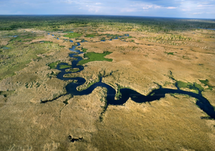 Screenshot 2025-11-18 at 2.54.52 PM.png