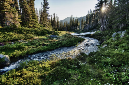 Screenshot 2025-11-18 at 3.13.36 PM.png